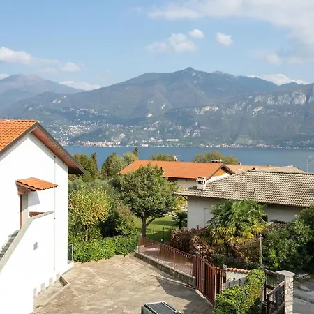 Azalea&glicine By Halldis Cadenabbia