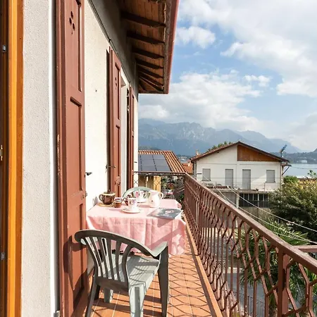 Azalea&glicine By Halldis * Cadenabbia