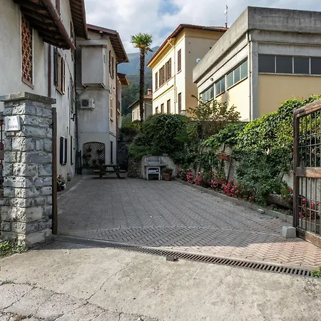 Azalea&glicine By Halldis *