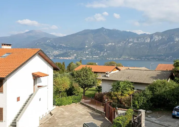 Azalea&glicine By Halldis Cadenabbia