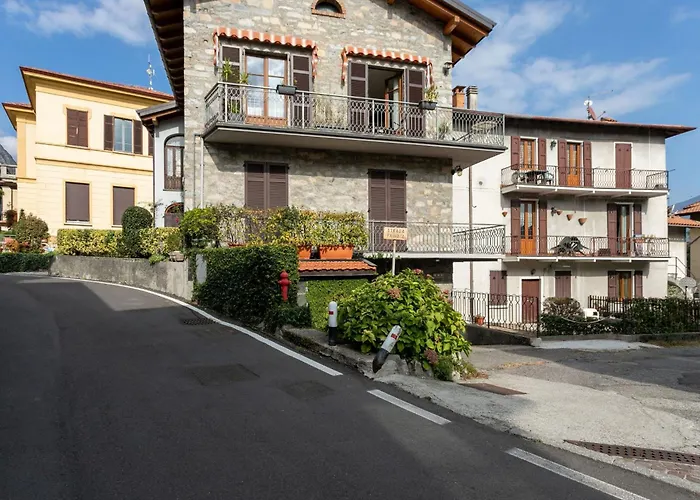 Azalea&glicine By Halldis *