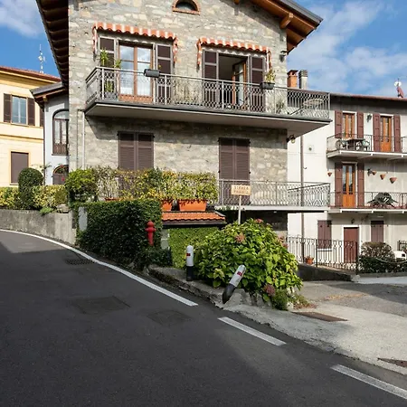 Azalea&glicine By Halldis *