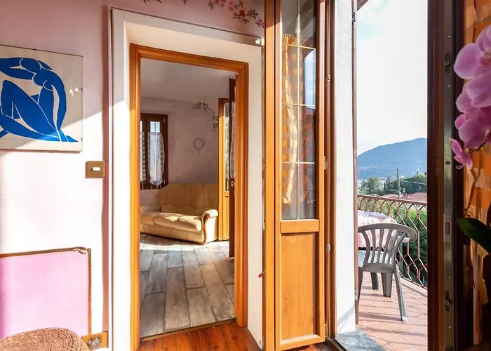 Azalea&glicine By Halldis Cadenabbia