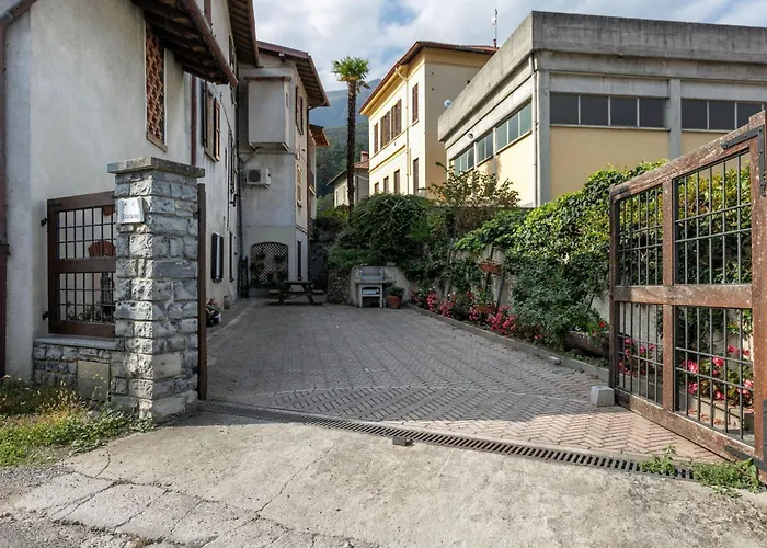 Azalea&glicine By Halldis *