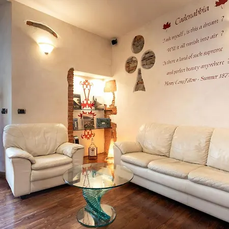 Azalea&glicine By Halldis