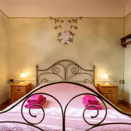 Azalea&glicine By Halldis *