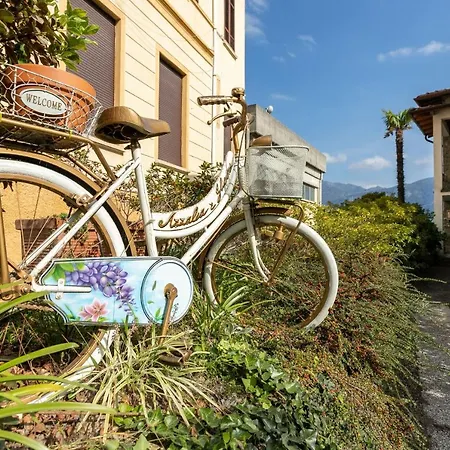 Azalea&glicine By Halldis 公寓 *