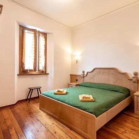 Azalea&glicine By Halldis