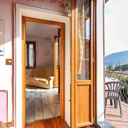 Azalea&glicine By Halldis Cadenabbia